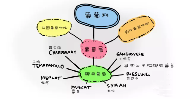 红葡萄酒说：“如果你一定要找茬，我也是乐意奉陪的”