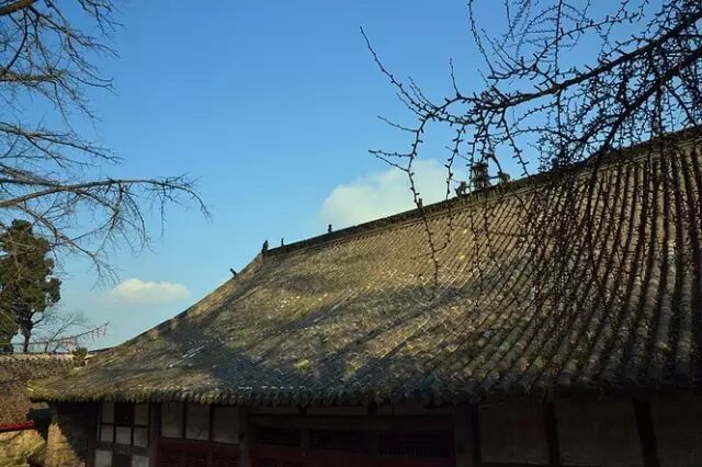 云顶山的传奇，不只是法师大有来头，还有三生三世的因果有道（一）