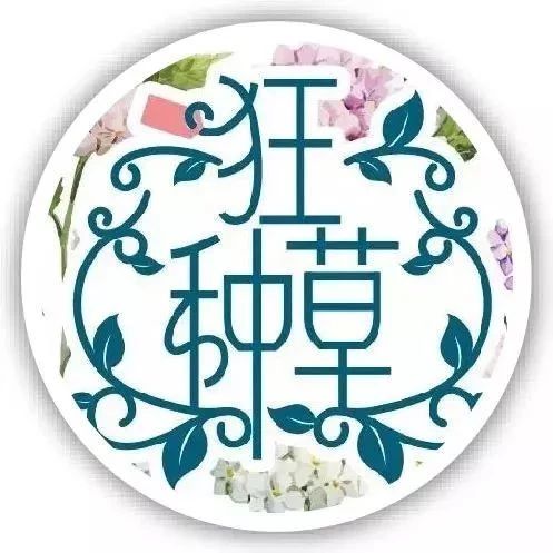 她:唯一比汤唯还文艺的女神,接班林志玲成台湾第一美女