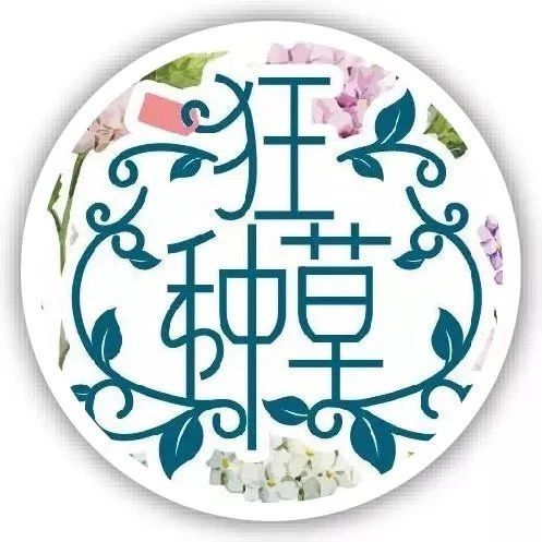 只卖3天|王菲最爱的大樱桃,今年最后1批,明早10点采摘邮寄