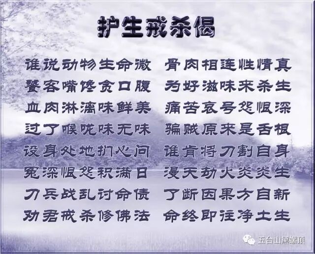周老禅师的传奇故事