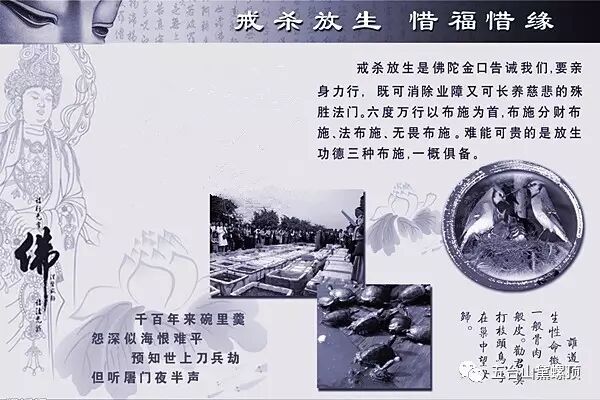 周老禅师的传奇故事