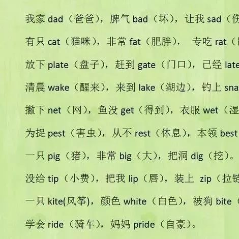博士妈妈超厉害,把英语单词编成三字经,健忘儿子1天记住800词