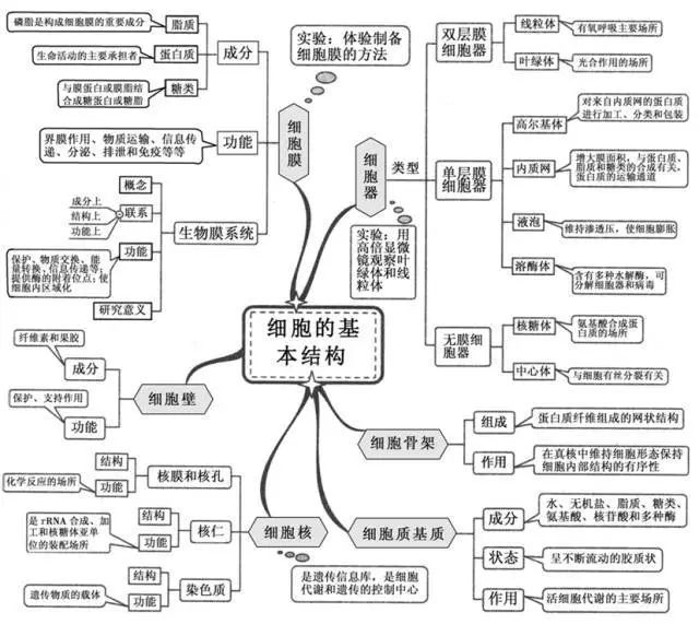 高中生物超级详细思维导图!