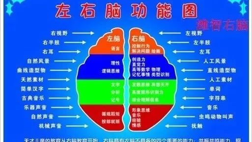 【阿雅右脑 家长课堂】让孩子拥有最强大脑,超越常人潜能让学习不再困难,成倍提高学习能力!