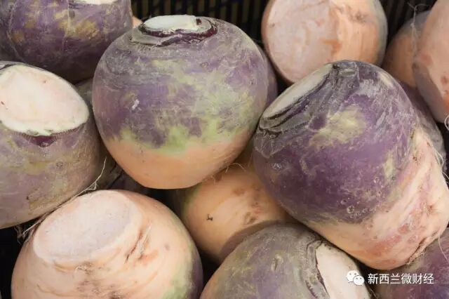 华人在新西兰超市错过的那些好菜！不懂真的是亏大了！