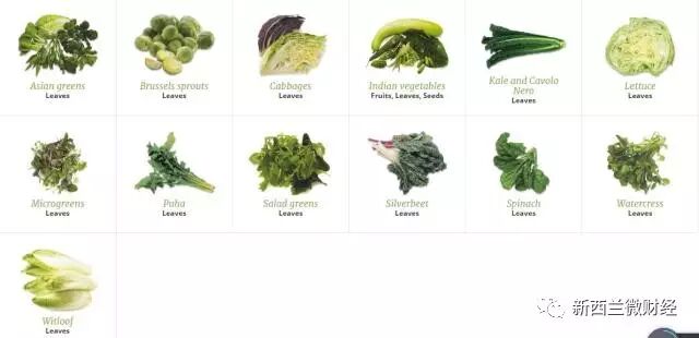 华人在新西兰超市错过的那些好菜！不懂真的是亏大了！