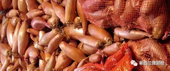 华人在新西兰超市错过的那些好菜！不懂真的是亏大了！