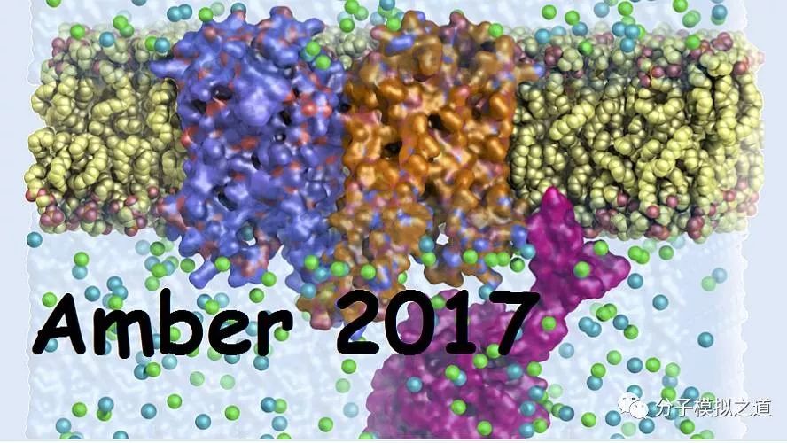 AMBER高级教程A16:Amber脂分子教程:Lipid14力场版本