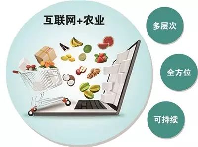 建设互联网农业发展农产品电商
