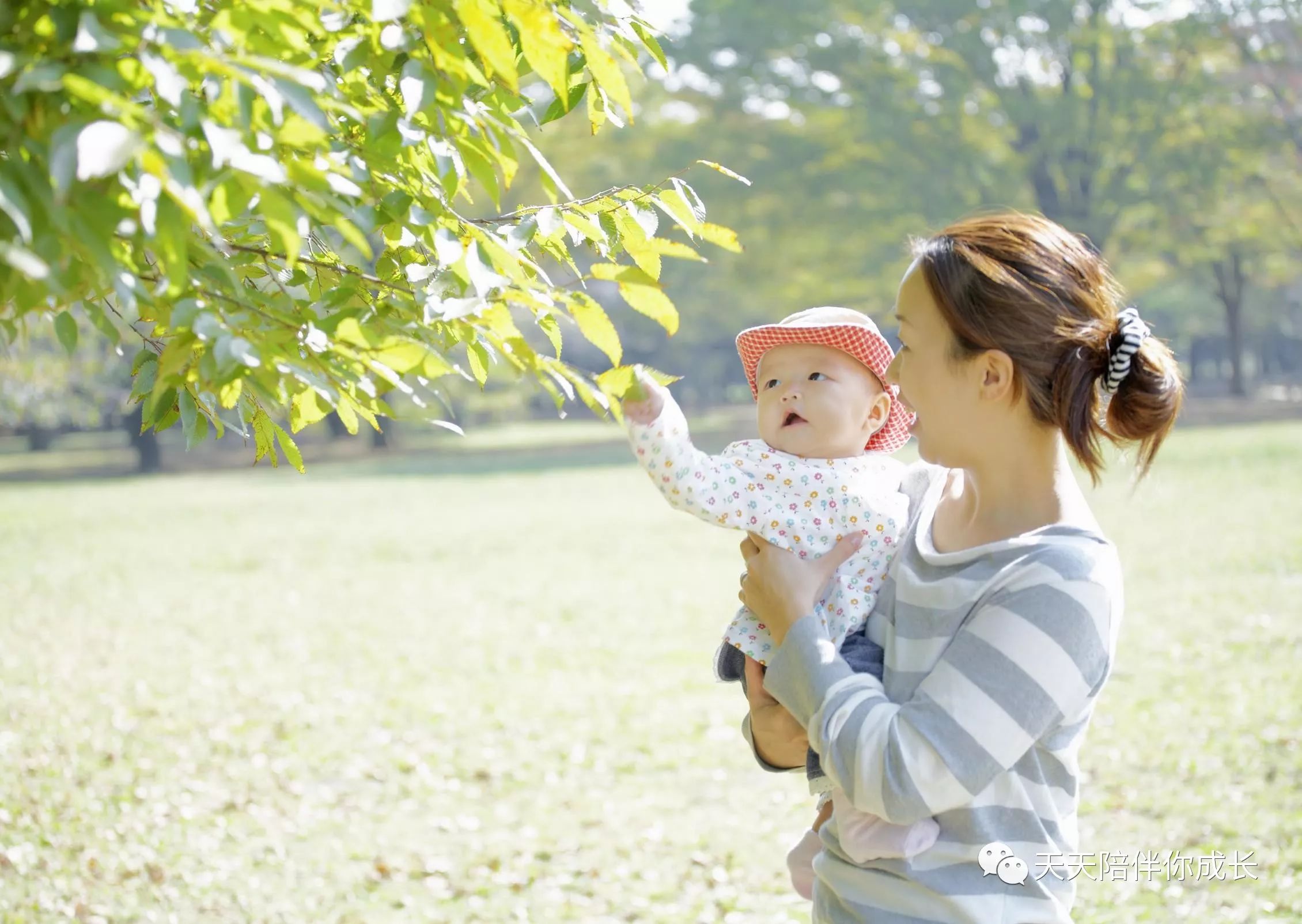 老公去世我却怀孕了,婆婆求我把孩子生下,孩子出生后我收到惊喜