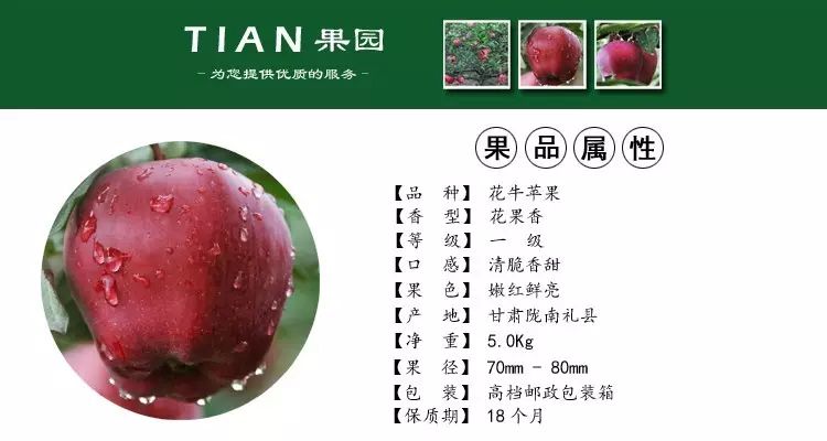 人文地理_七年级上册人教版地理地理课件_华夏人文文化的地理