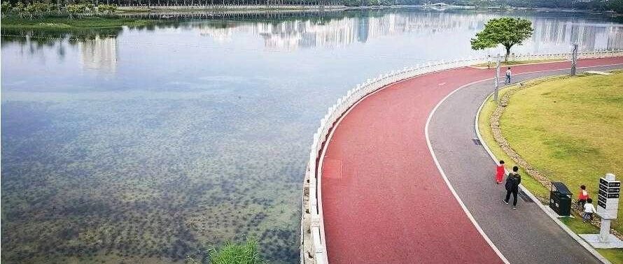 南宁海绵城市建设带来环境变化:清水绿岸鱼翔浅底