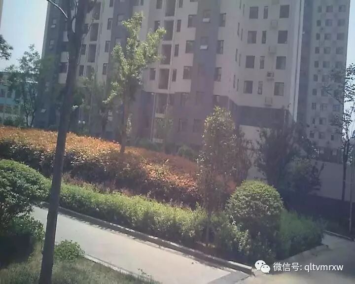 山东13岁女孩被曝遭邻居强行带回家囚禁6个多小时