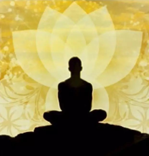 震惊世界的生命科学电影:打坐的真相