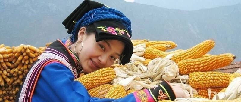 亲爱的吃货,这位&ldquo;天仙妹妹&rdquo;只有您能呵护