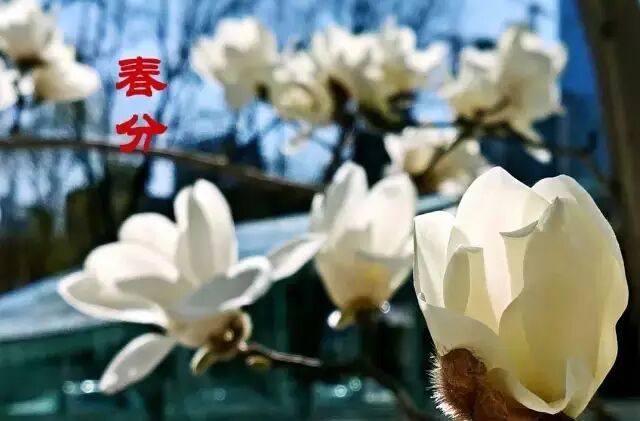 春分不调理，疾病缠上你！记住养生 “四个三”，保你一年都平安