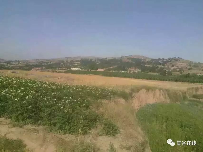 您的土地上户口了吗?走进八里湾张家坪村实地查看!