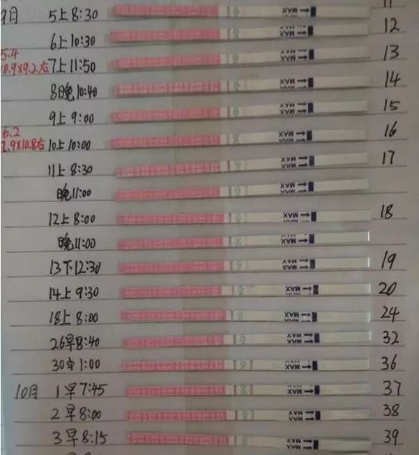 我是这样怀孕的!(一个不孕妈妈备孕成功的经验分享)-怀孕期