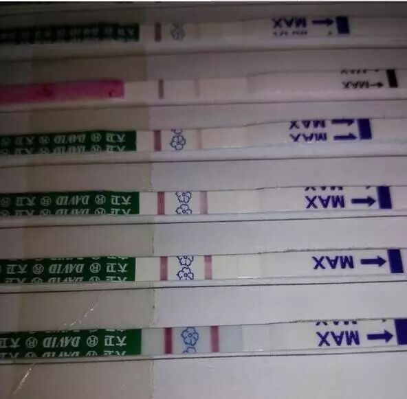 我是这样怀孕的!(一个不孕妈妈备孕成功的经验分享)-怀孕期