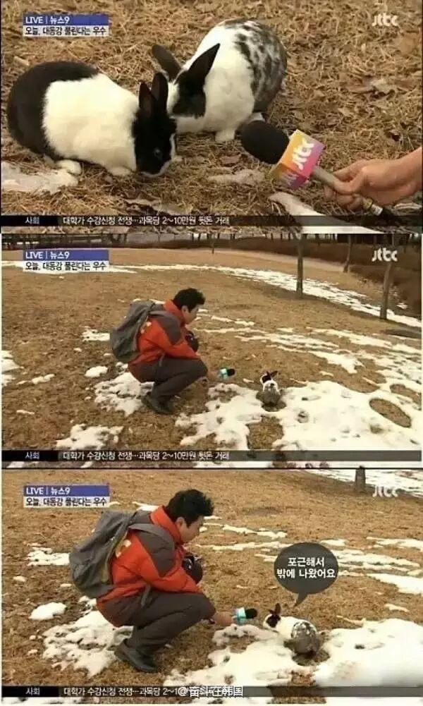 公然叫板政府，一手单挑“朴槿惠闺蜜干政”，这家媒体咋这么牛？