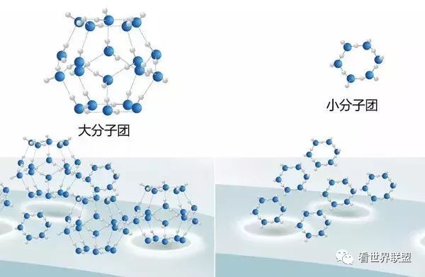 『健康』【小分子肽】人类健康新秘诀!