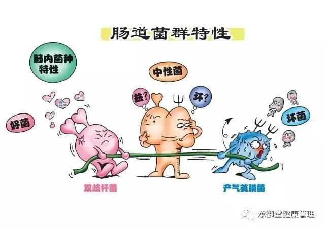 答:经常v女人,是女人易被病毒引起感染的不适健康,经常补充益生菌,有人体性感衣服穿为啥要图片
