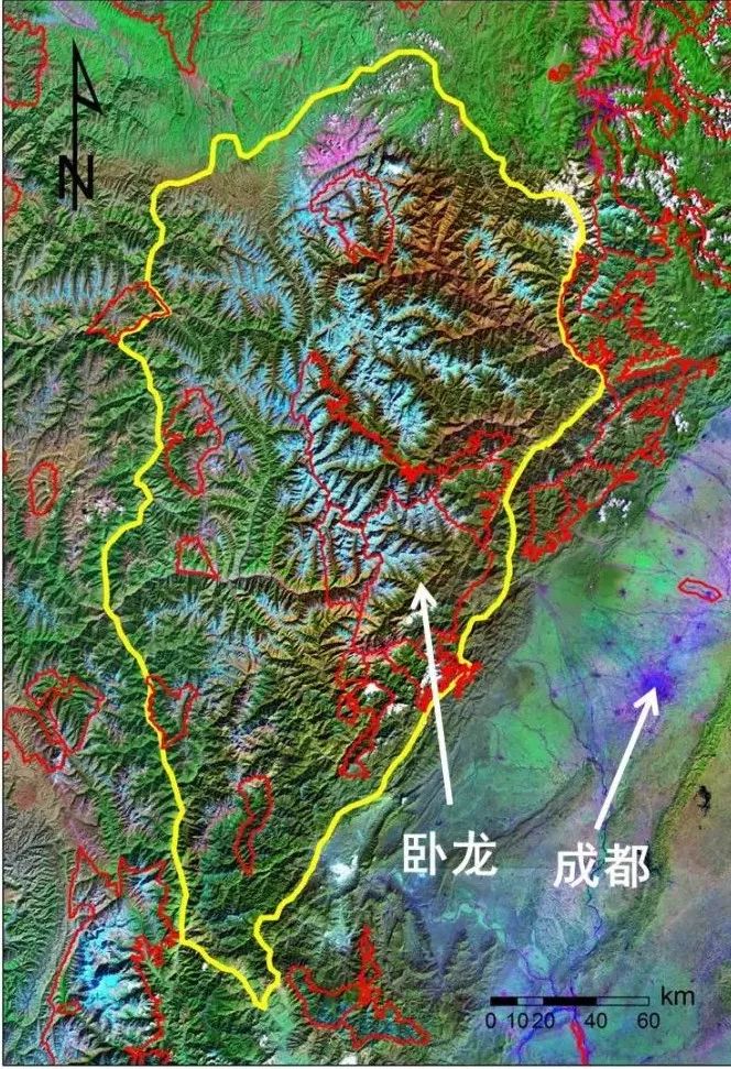 三万平方公里的邛崃山区是在横断山脉生物多样性最丰富的区域之一