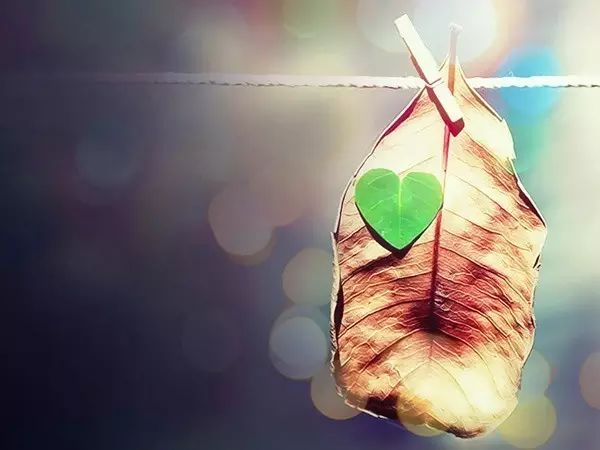 致第三者和前夫：感謝你們當年趕盡殺絕之恩 戲劇 第1張