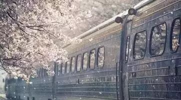 杨宗纬一首《红尘来去一场梦》,好听至极!