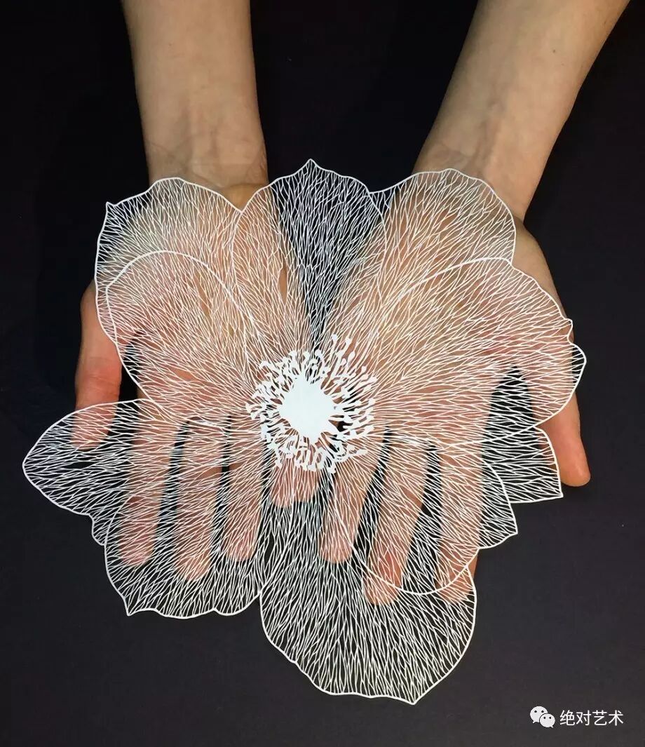 ��������������羰������ֽ����