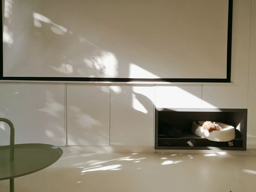 ò𽨳üĿ66׿밸ҵУ