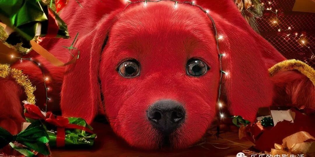 大红狗克里弗（2021）#喜剧#家庭#冒险