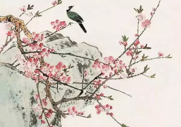 女声版《以吻封缄》,好听!