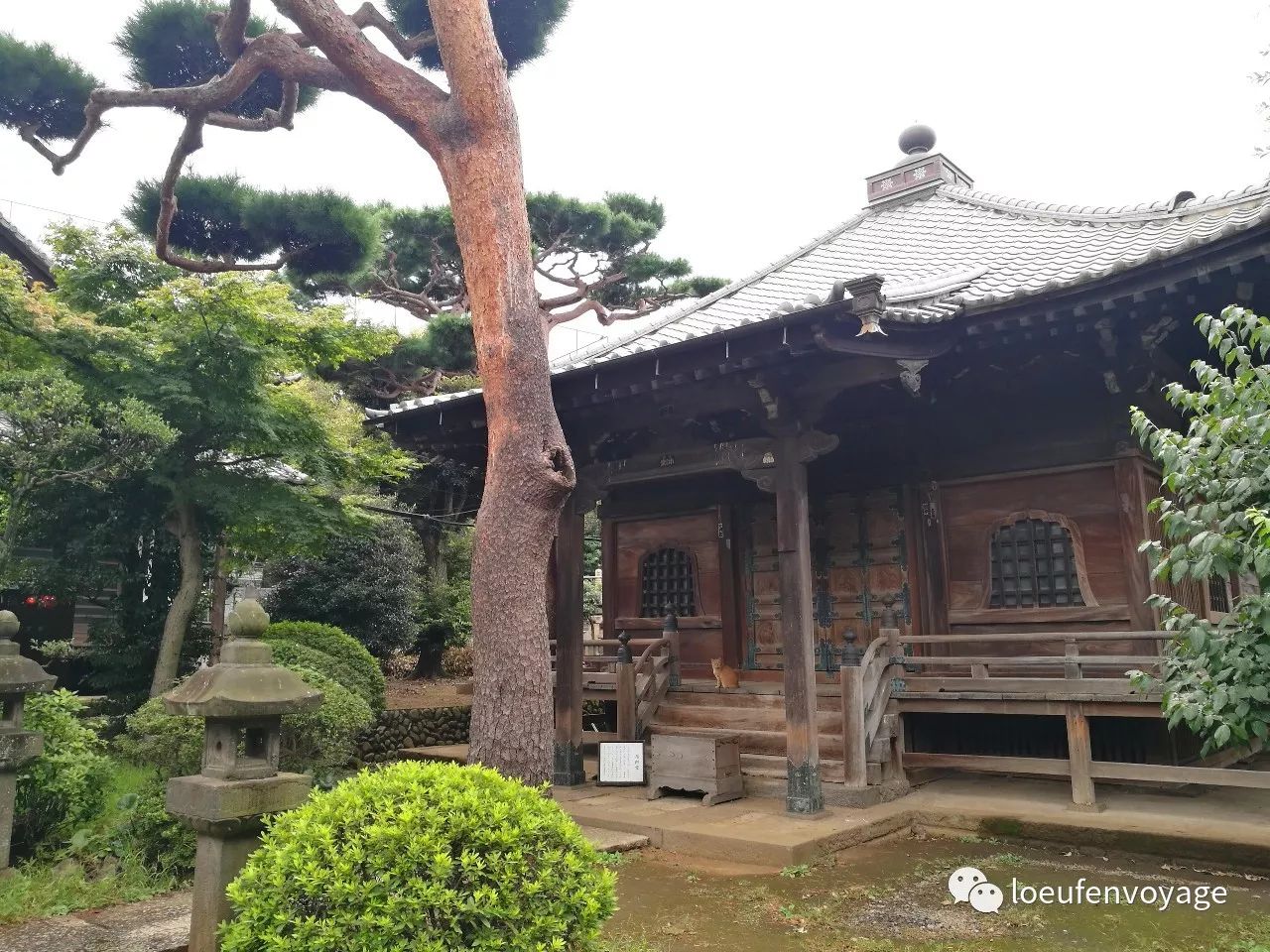 护国寺里的庭院