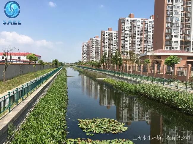 我司荣获上海市水利行业优秀科技论文一等奖(图1)