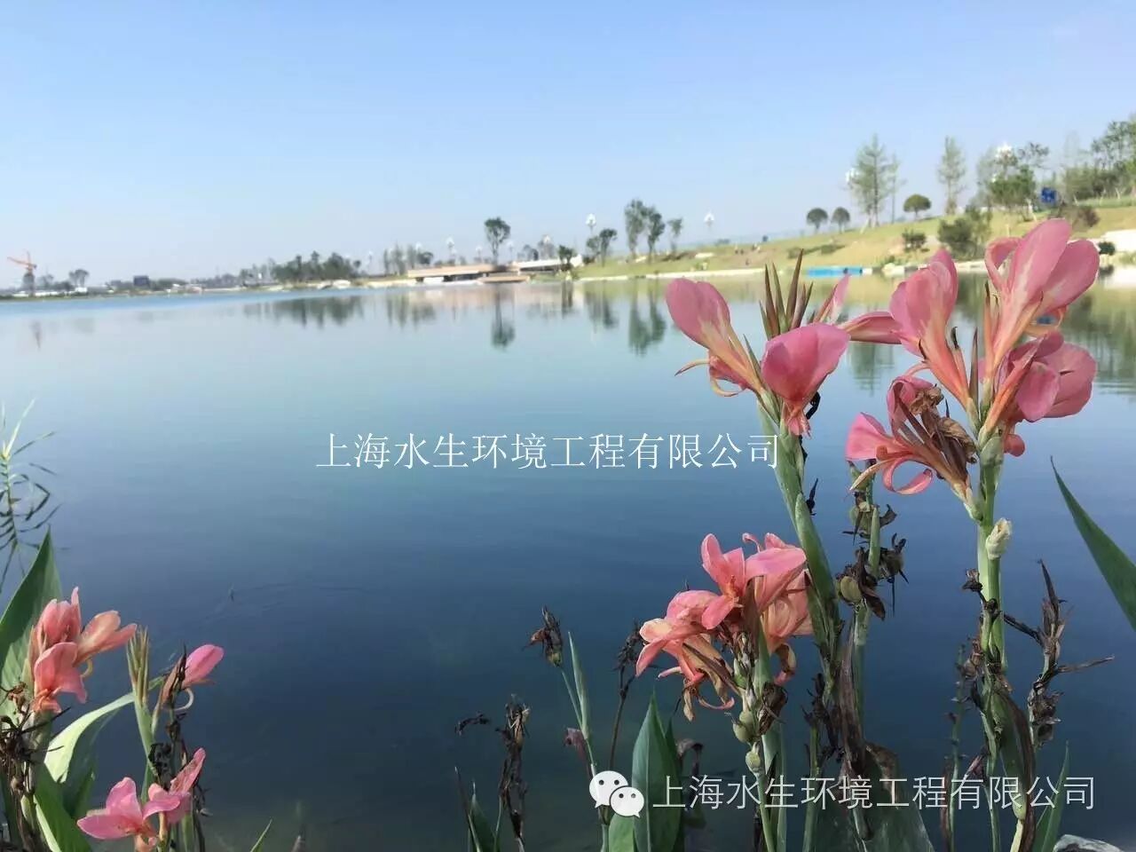 上海水生：迈向环境服务业战略高地的步伐正在加快(图1)