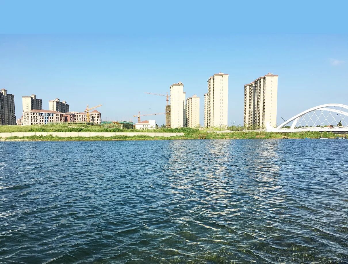 奉贤区领导实地调研上海之鱼人工湖(图2)