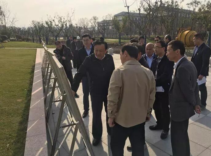 奉贤区领导实地调研上海之鱼人工湖(图1)