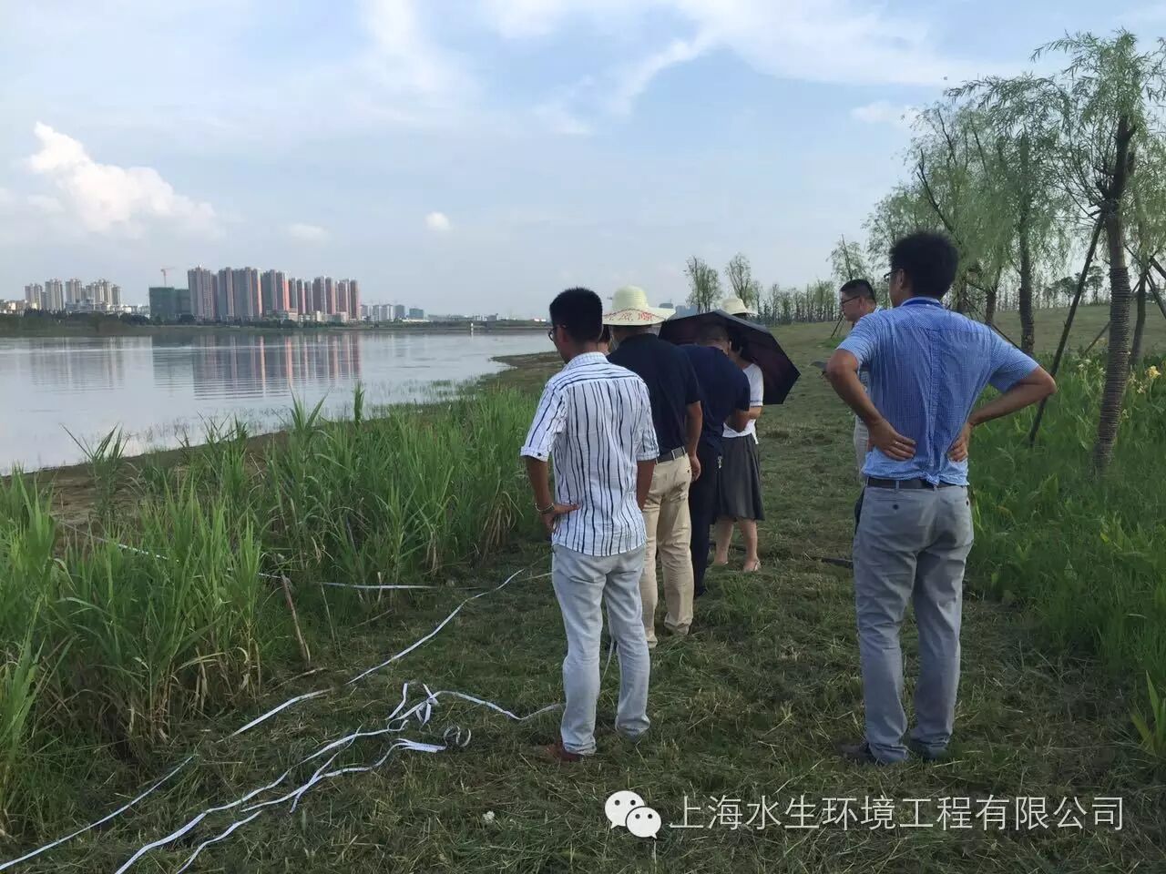 合肥柏堰湖生态湿地喜迎竣工验收(图2)