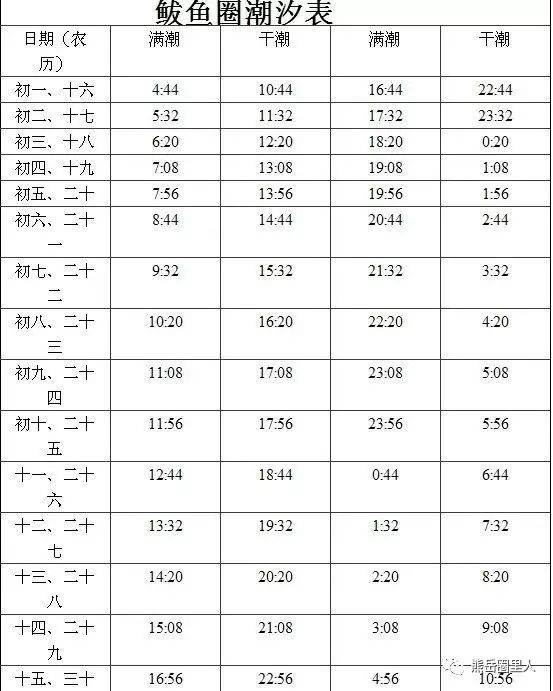 啥时候去?怎么挖【附潮汐表】