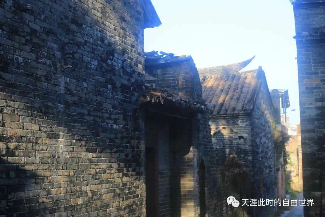 增城朱村——穿街走巷采瓜果挑灯夜战捞鱼儿
