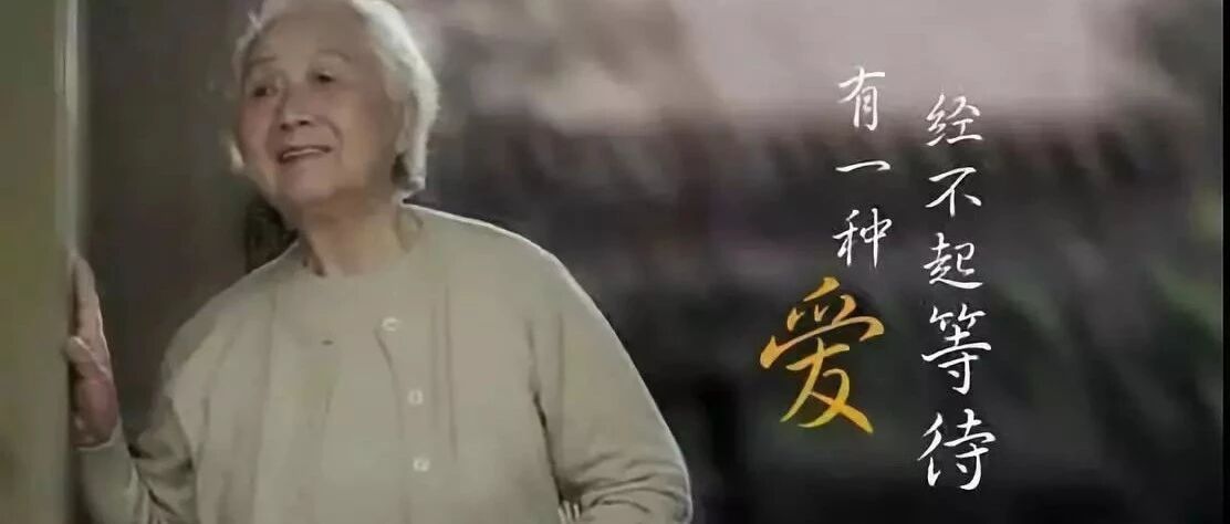 杨子 | 我的母亲