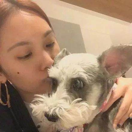 杨丞琳亲吻爱犬称“想你到爆” 网友: 李荣浩呢