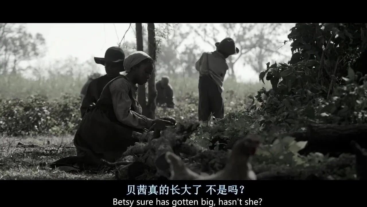 点击下方观看↓↓⭐火爆、激情！年度十佳动作片！-5