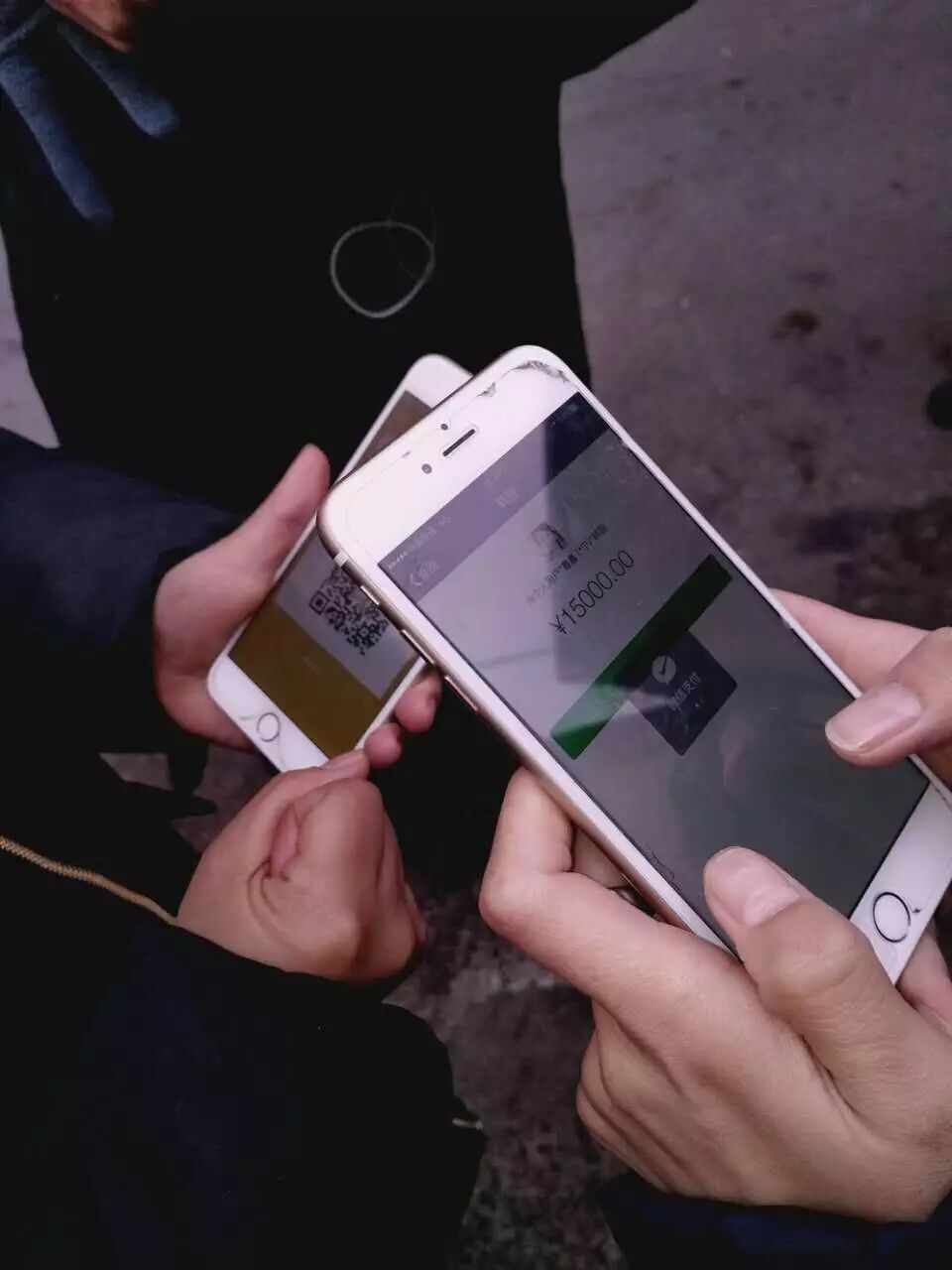 屠夫一时心软放生了怀孕的黑狗,改变了全家的命运!-怀孕期