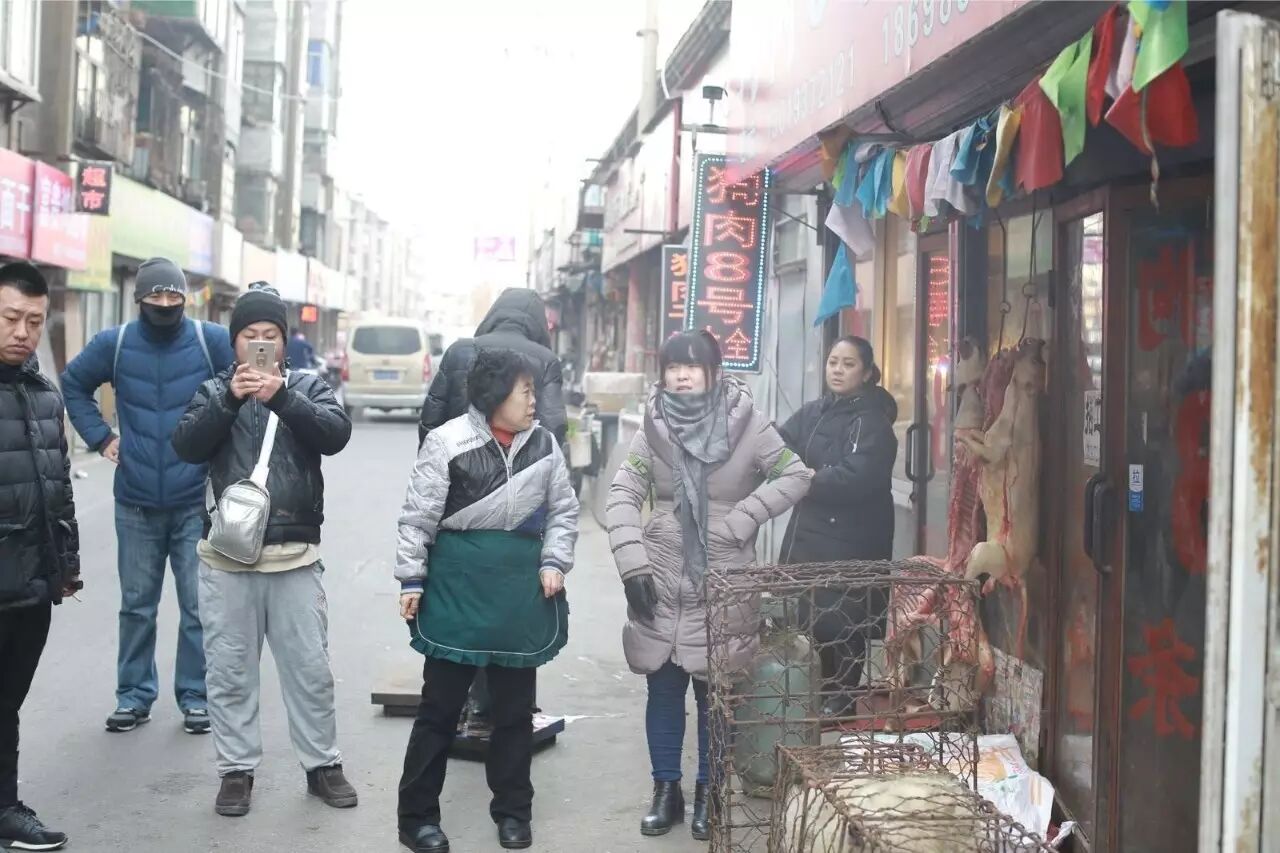 屠夫一时心软放生了怀孕的黑狗,改变了全家的命运!-怀孕期