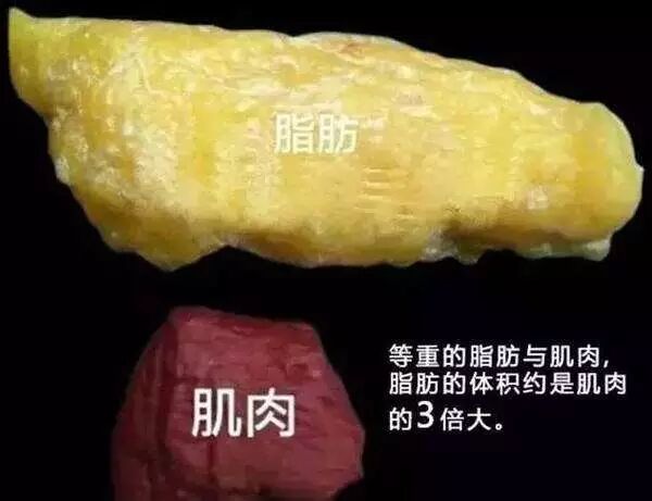 止血钳怎么造绝非歧视，但外科医生为什么不喜欢给胖人做手术？_https://www.jmylbn.com_新闻资讯_第7张