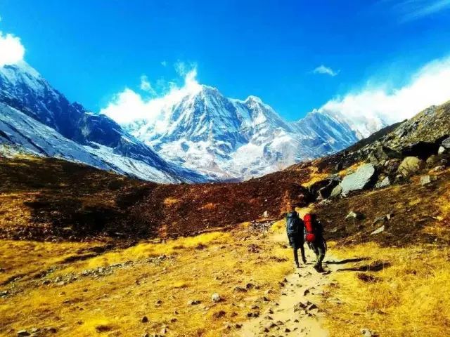 喜马拉雅山以南、与西藏相接,有一个雪山王国,王菲、倪妮也为...