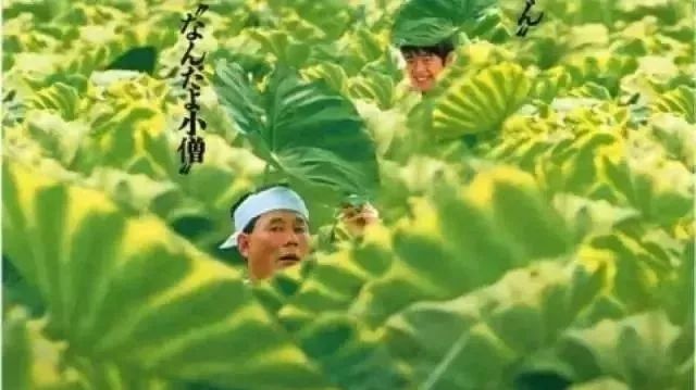 久石让要给你一个《菊次郎的夏天》,听吗听吗?